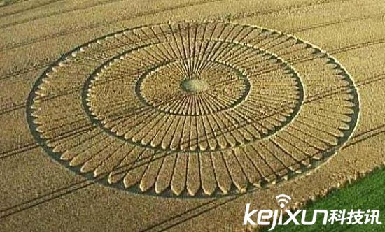 外星人存在最有力:麦田怪圈形成原因