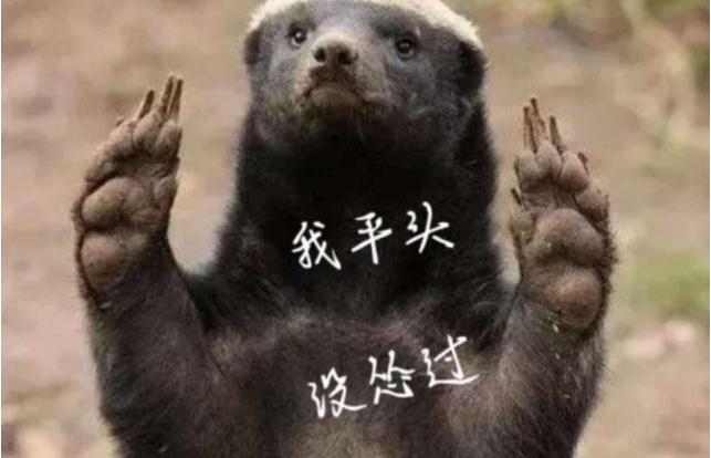 qn哥是什么意?qn哥是什么梗?
