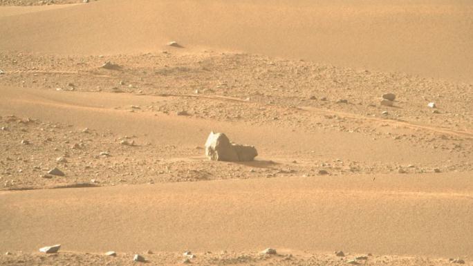 NASA“毅力号”探器在火星上发现古怪的“猫面包石