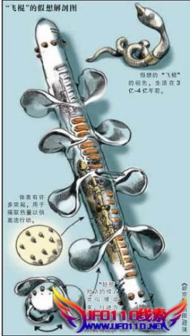 全方位解密“神?l图)