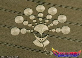 麦田怪圈真是是外星h的杰作？