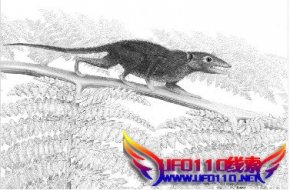 1.6亿年前侏|兽化石