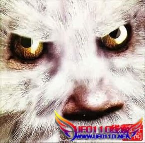 喜马拉雅q雪h是否存在