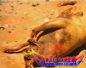 U约xW现神U怪兽怽