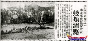 松花江坠龙震惊事件未解之