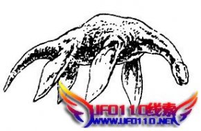 国香普兰湖水怪介l