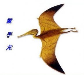 安第斯山出现史前手