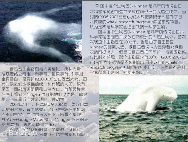 ningen南极人首ơ被发现