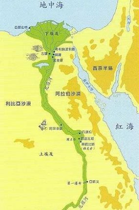 世界上最长的x十大排行