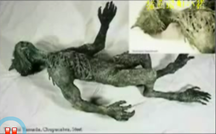 吸血怪獸卓柏卡布拉