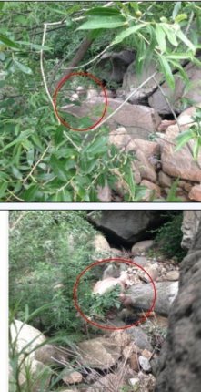 北京怀柔惊Ch形怪兽“怪兽”自曝：在拍微电