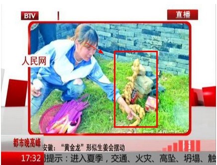 安徽居民惊现黄金?能摆动疑似太