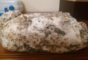 世界上最昂贵的粪便＂龙涎香＂