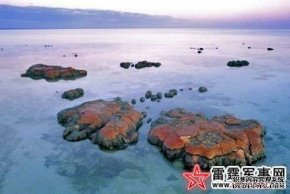 地球上真实九大外星h栖息